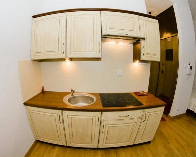 Apartament Kopernik 크라쿠프 외부 사진